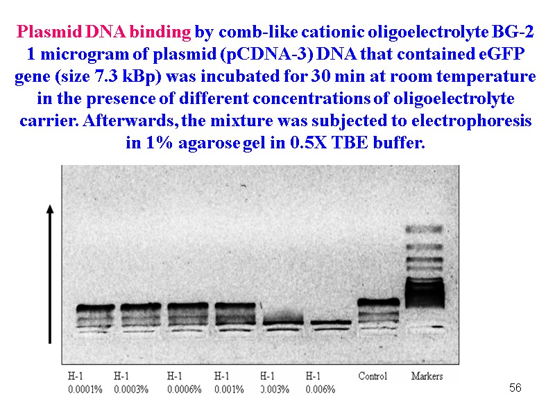 56 Plasmid DNA binding by comb-like cationic oligoelectrolyte BG-2 1 microgram of plasmid (pCDNA-3)
